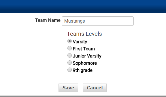 Team Name field and Team Levels radio buttons with Save and Cancel buttons
